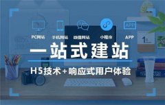 深圳龙岗区企业网站开发是怎样的